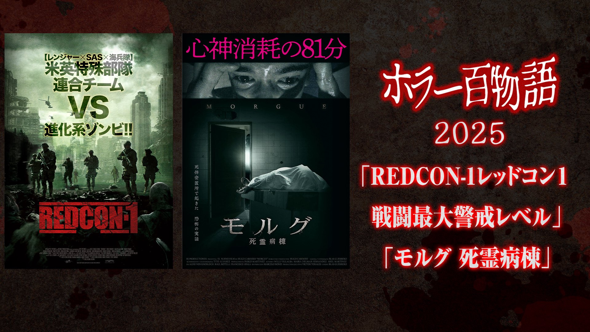 「REDCON-1レッドコン１ 戦闘最大警戒レベル」「モルグ 死霊病棟」/ ホラー百物語2025