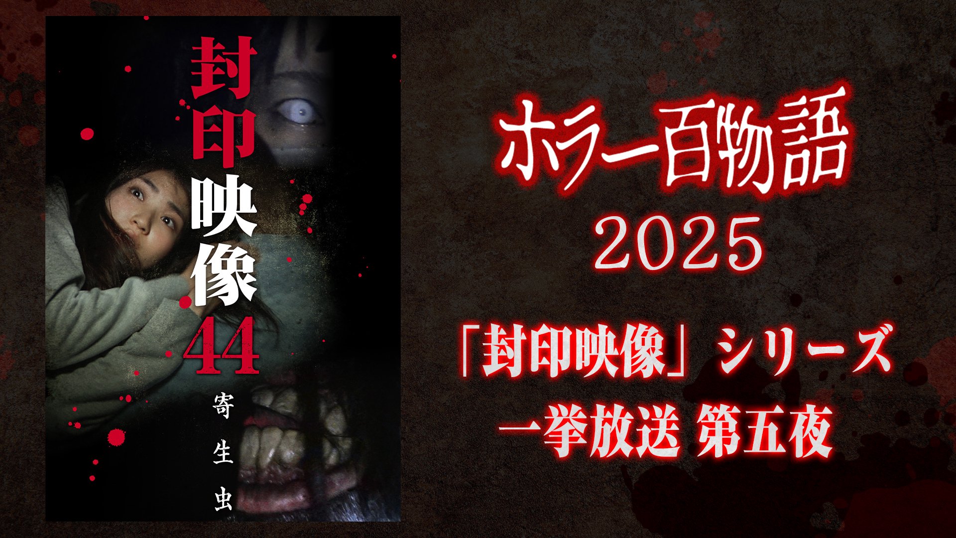 「封印映像」シリーズ一挙放送 第五夜 / ホラー百物語2025