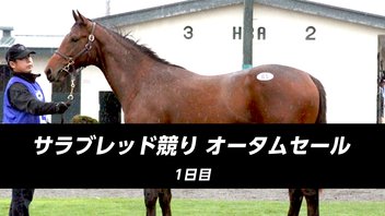 【競走馬セリ】サラブレッド競り市場2024「オータムセール」 1日目