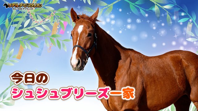 【馬房定点】今日のシュシュブリーズ一家　7月11日