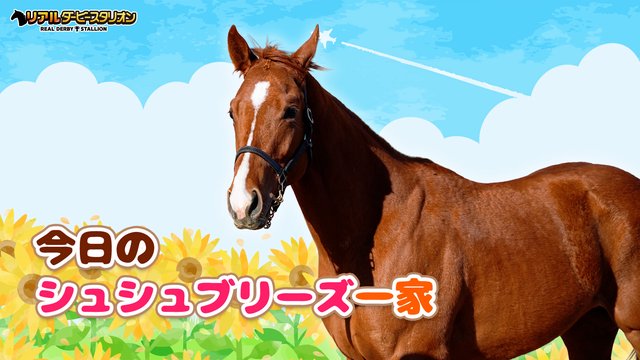 【馬房定点】今日のシュシュブリーズ一家　8月29日