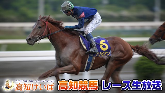 【競馬実況】高知競馬 9月14日 建依別賞【生放送】